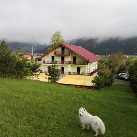 Grandemi Belvedere Bucovina Frasin Екстер'єр фото
