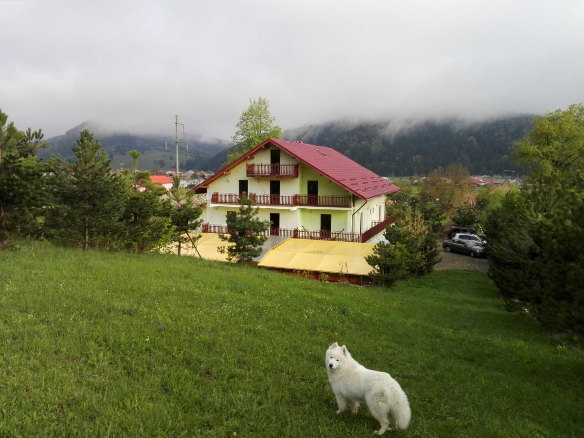 Grandemi Belvedere Bucovina Frasin Екстер'єр фото
